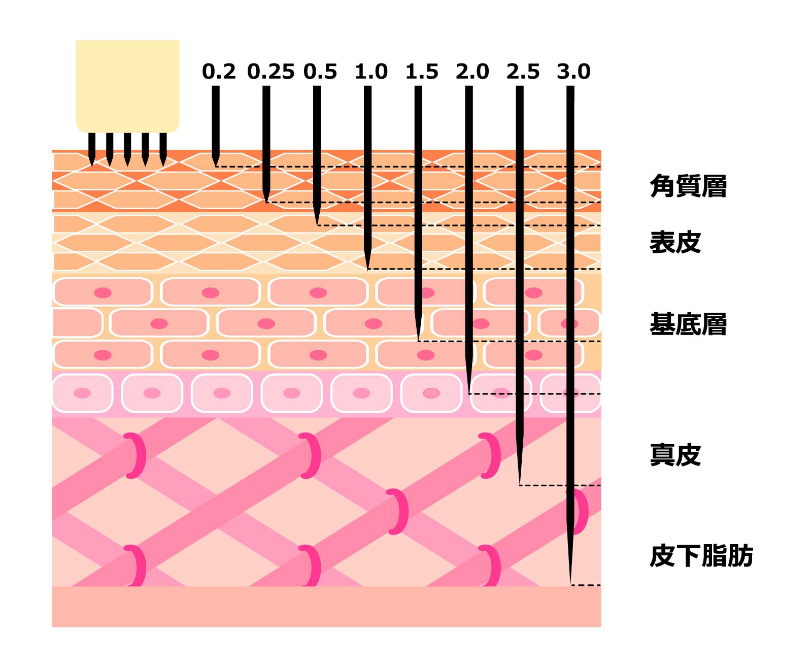 ダーマペンのニードルの深さ